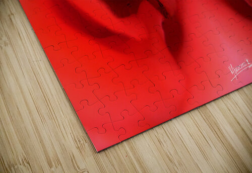 flower 19 Carlos Manzcera puzzle