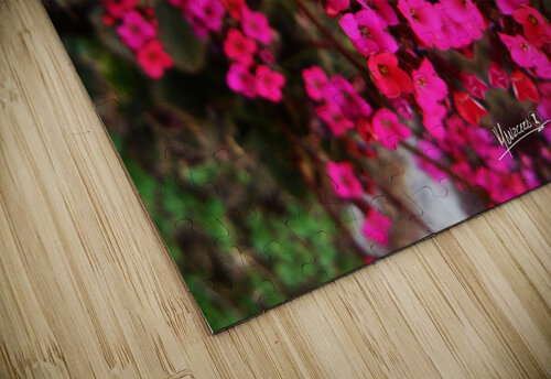 flower 29  Carlos Manzcera puzzle