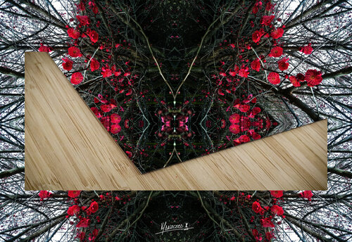 Flower 47  Carlos Manzcera puzzle