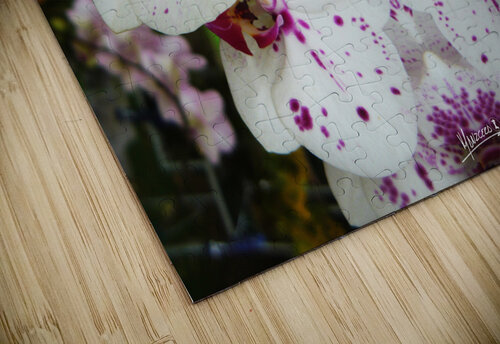 flower 62  Carlos Manzcera puzzle