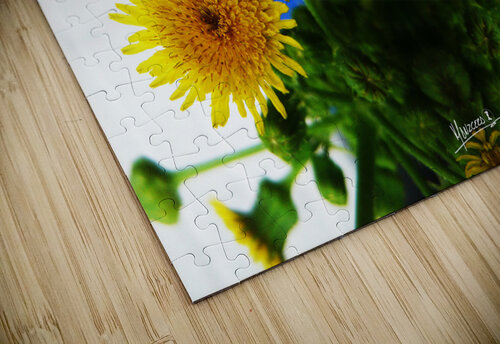flower 76  Carlos Manzcera puzzle