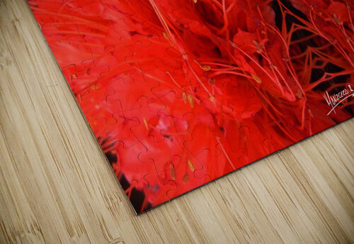 flower 81  Carlos Manzcera puzzle