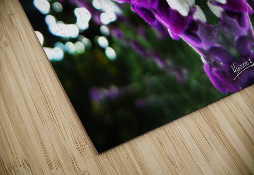 flower 89  Carlos Manzcera puzzle