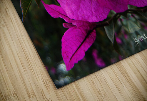 flower 90  Carlos Manzcera puzzle