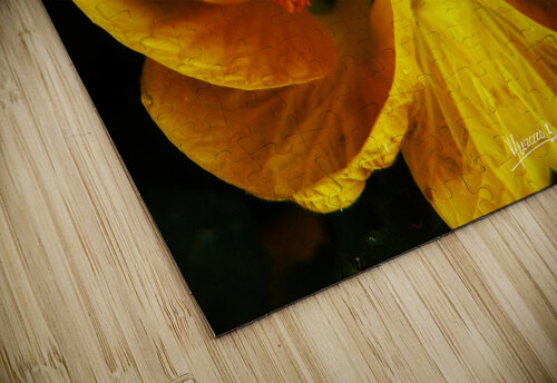 flower 91  Carlos Manzcera puzzle