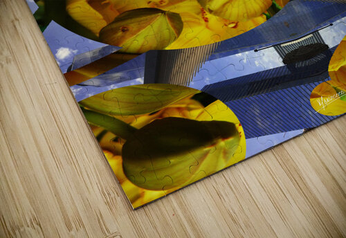 building 28  Carlos Manzcera puzzle