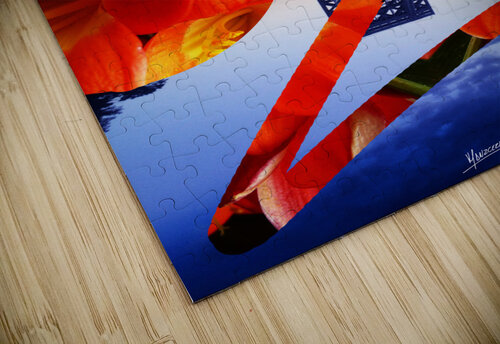 Collage 1  Carlos Manzcera puzzle
