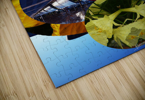 Centrer spacial 1  Carlos Manzcera puzzle