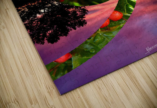 Nature 7  Carlos Manzcera puzzle