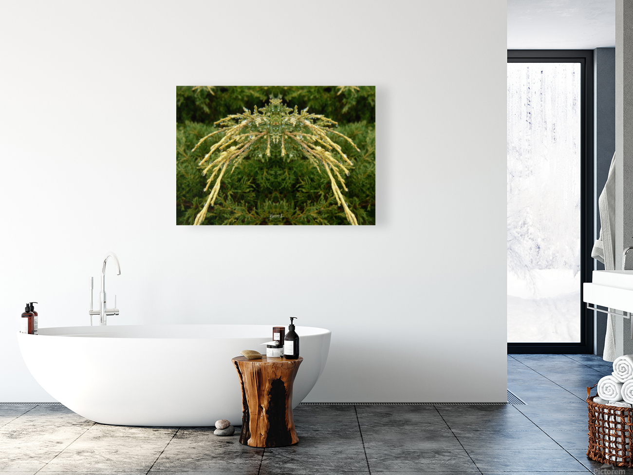 Dewgreen 1  Reproduction