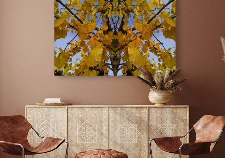 Autumn 3  by Carlos Manzcera