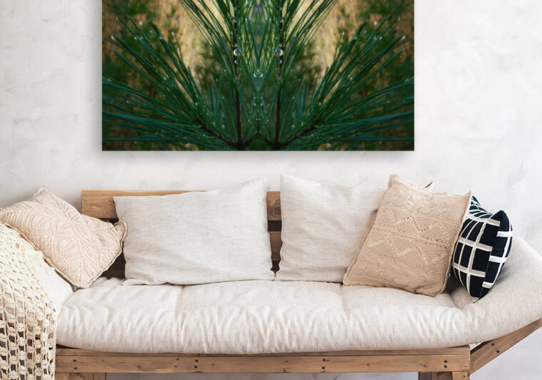 Dewgreen 3  by Carlos Manzcera