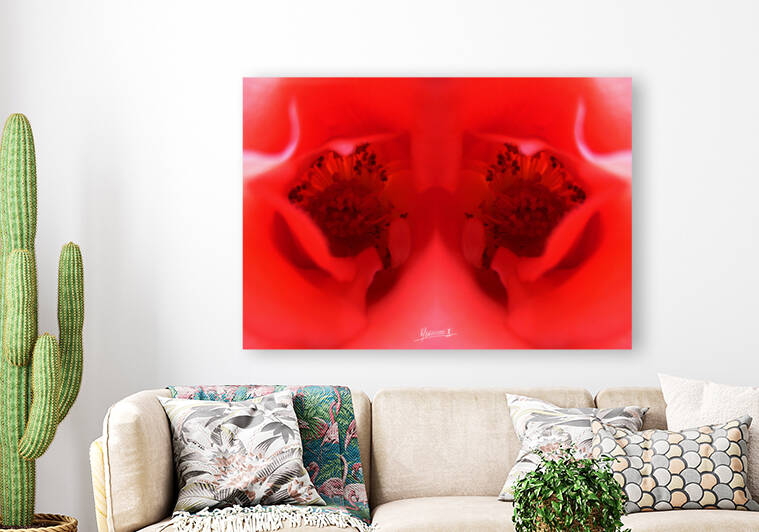 flower 19 by Carlos Manzcera