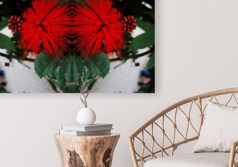 flower 51  by Carlos Manzcera