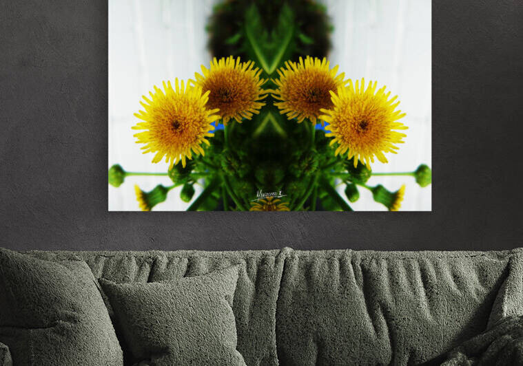 flower 76  by Carlos Manzcera