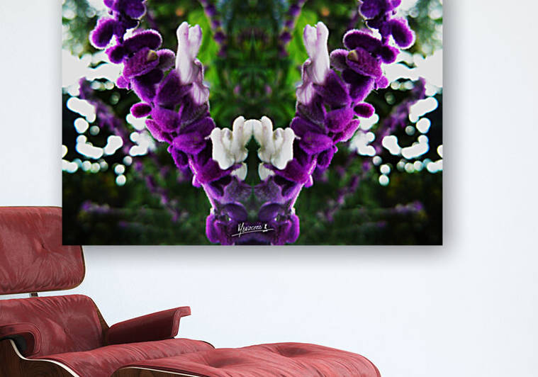 flower 89  by Carlos Manzcera