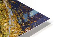 Autumn 1  HD Metal print