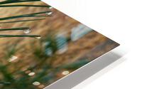 Dewgreen 3  HD Metal print