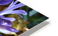 flower 3  HD Metal print