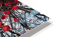 Flower 47  HD Metal print