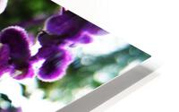 flower 89  HD Metal print