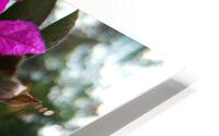 flower 90  HD Metal print