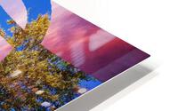 Seasons 5  HD Metal print