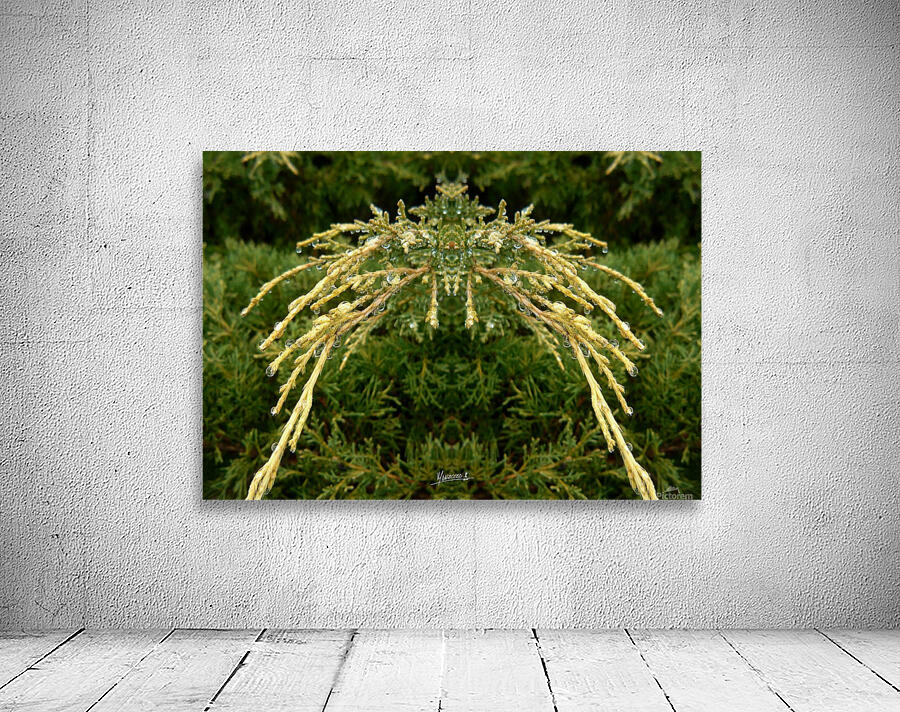 Dewgreen 1  Wall Preview