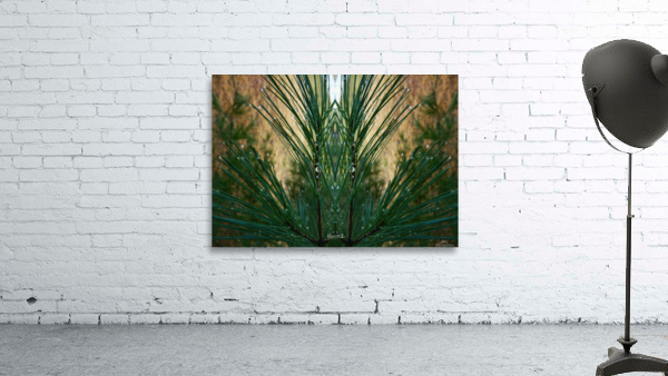 Dewgreen 3  Wall Preview