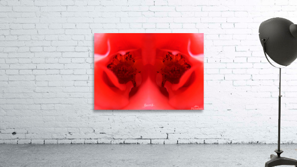 flower 19 Wall Preview