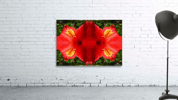 flower 20  Wall Preview