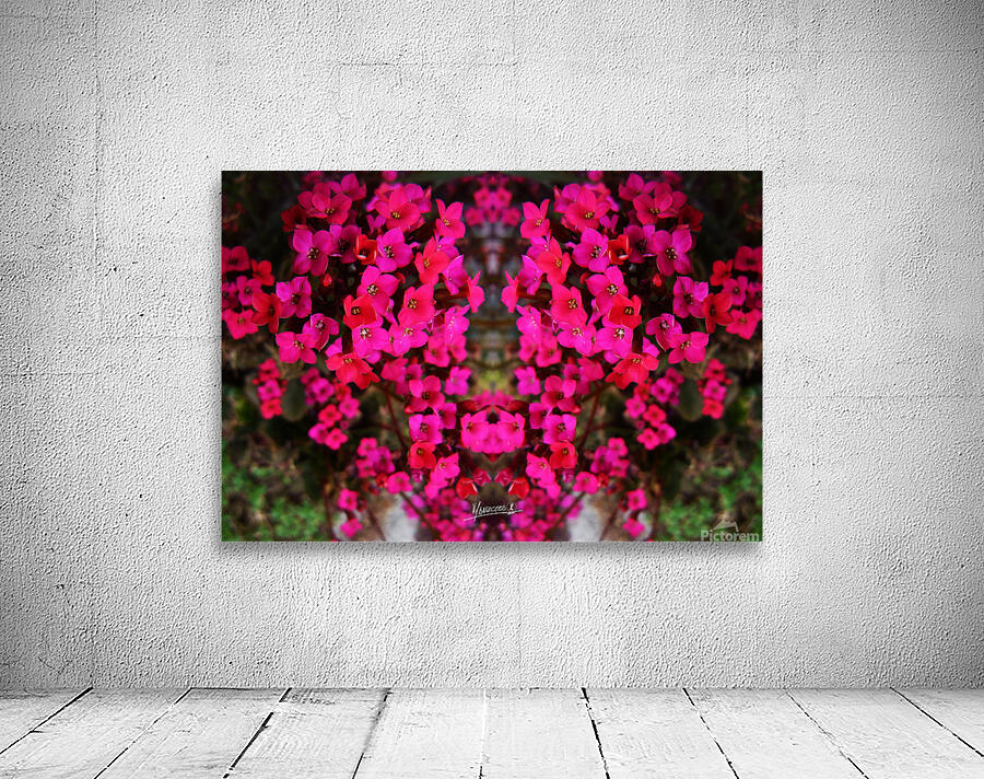 flower 29  Wall Preview