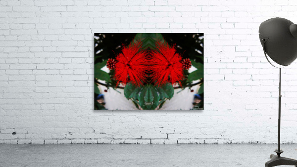 flower 51  Wall Preview