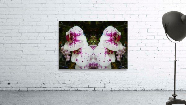 flower 62  Wall Preview