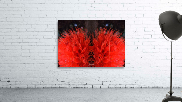 flower 81  Wall Preview
