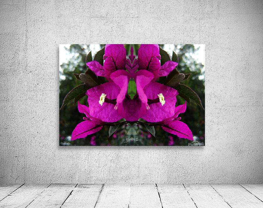 flower 90  Wall Preview