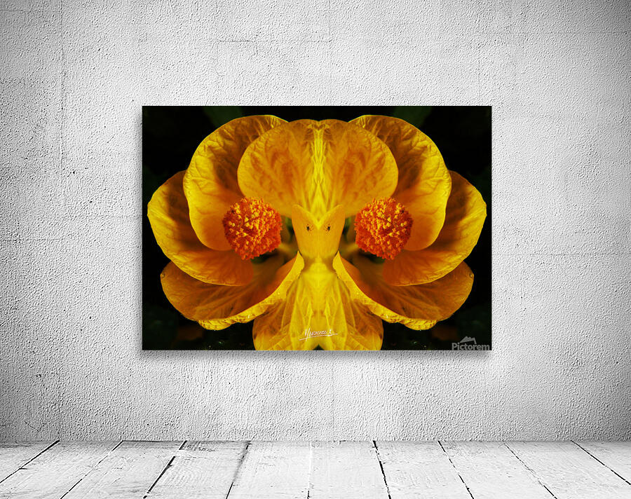 flower 91  Wall Preview