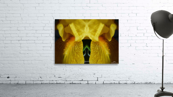 flower 102  Wall Preview