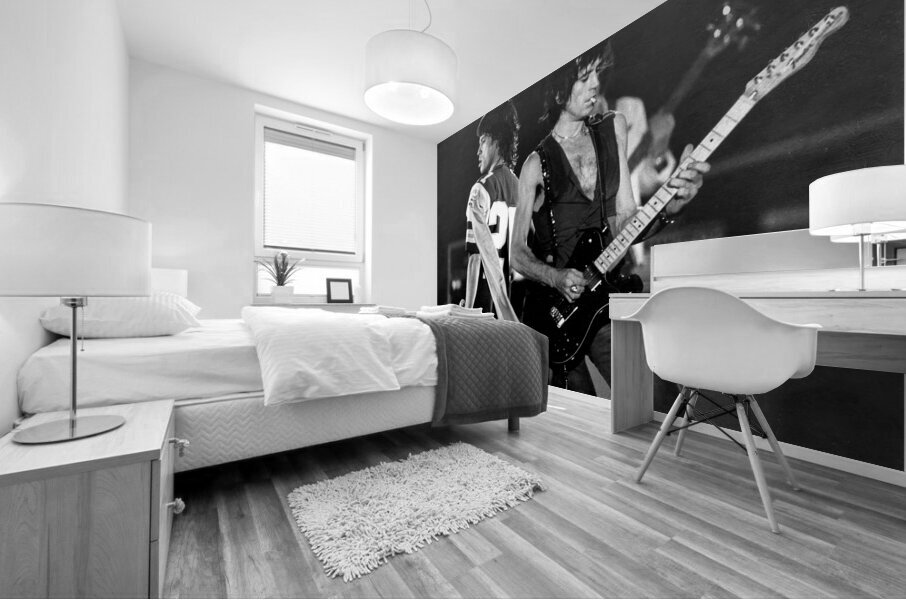 MICK AND KEITH  Mural print