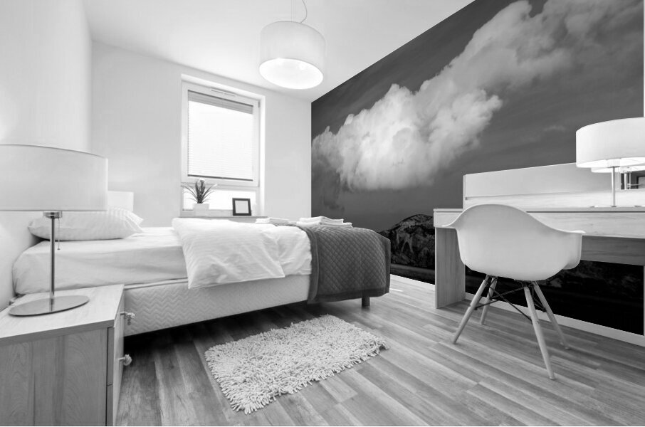 SPANISH COAST Mural print
