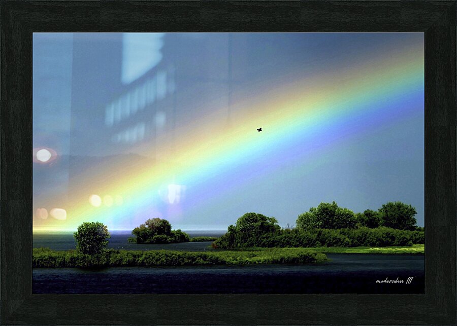 RAINBOW BIRD  Picture Frame print