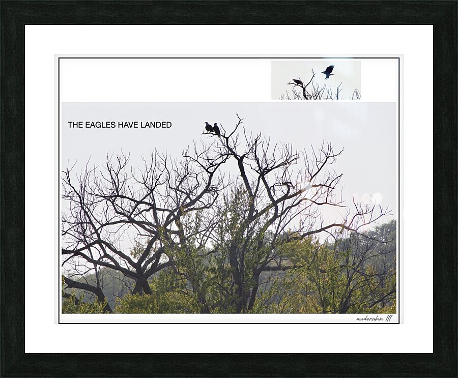 EAGLES LANDING Picture Frame print