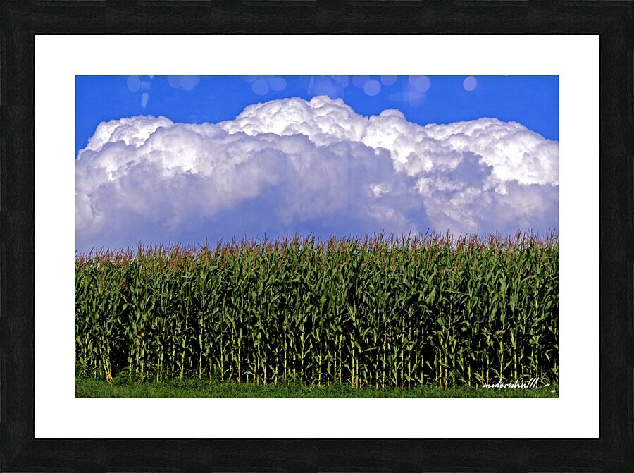 CORN CLOUD CUPCAKE Picture Frame print
