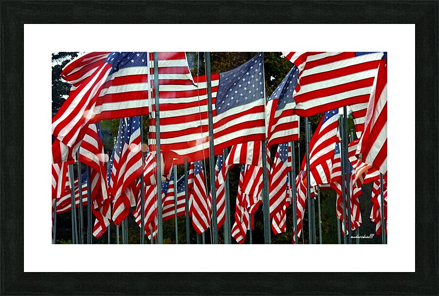 FLAG-JAM Picture Frame print