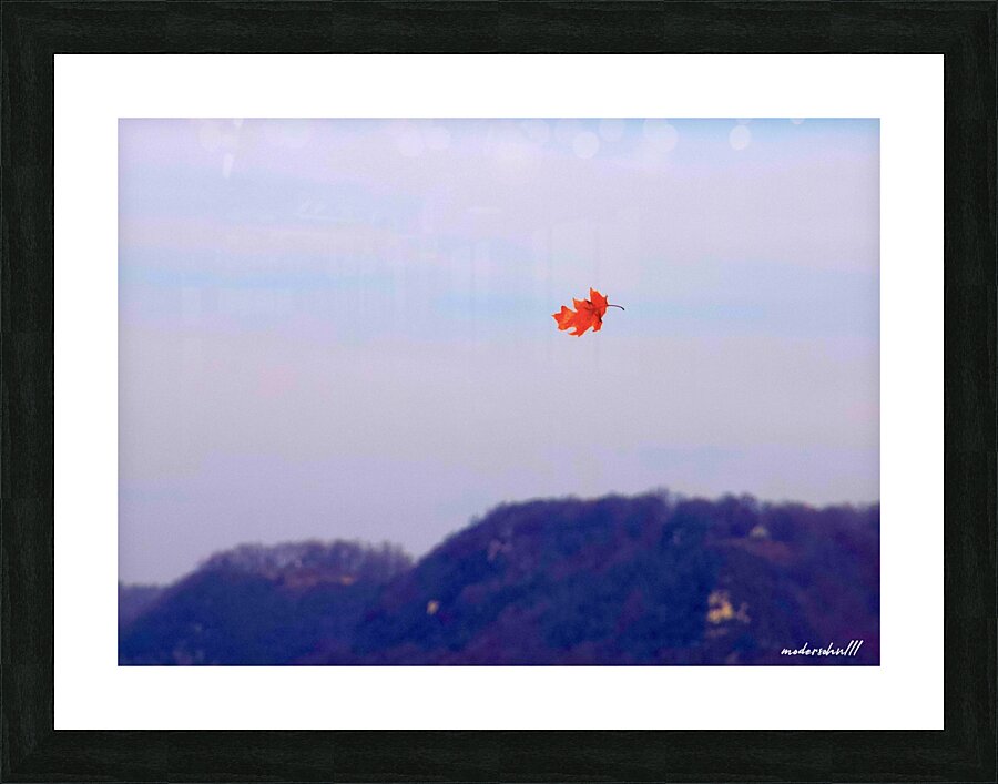 FALLING LEAF Picture Frame print
