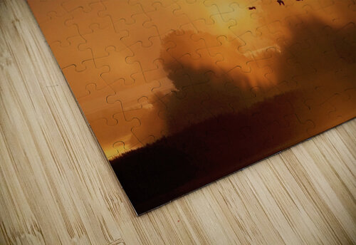 SUNRISE PELICANS Bob Modersohn puzzle