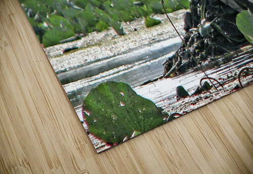 EAGLE LIFTOFF Bob Modersohn puzzle