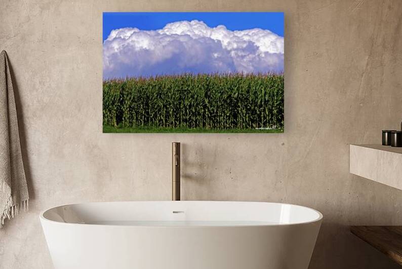 CORN CLOUD CUPCAKE Reproduction