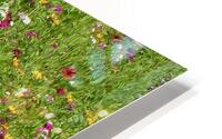 WILDFLOWERS HD Metal print