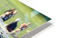 AMELIA RUNS HD Metal print